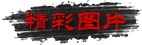 精彩图片