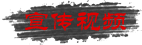 宣传视频