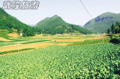 木根村负氧离子生态澳网官方网站自驾线路攻略