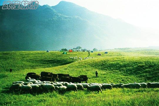 重庆武隆仙女山澳网官方网站攻略