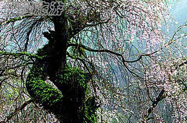 旅行拍片:细雨拍摄的四个诀窍