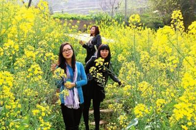 庙垭油菜花乡村澳网官方网站季13日开幕
