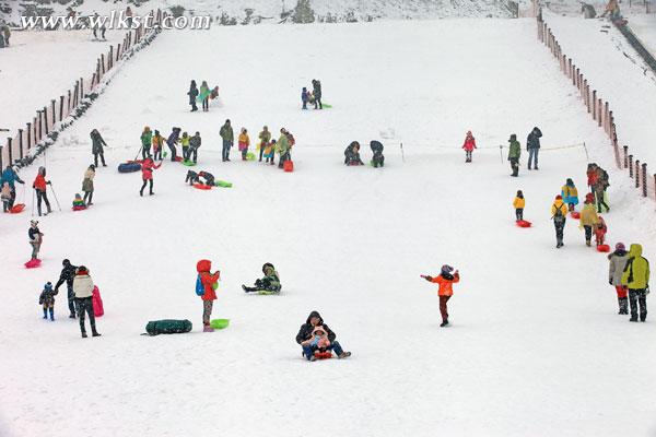 仙女山迎来2015年第一场雪 足足有10厘米深