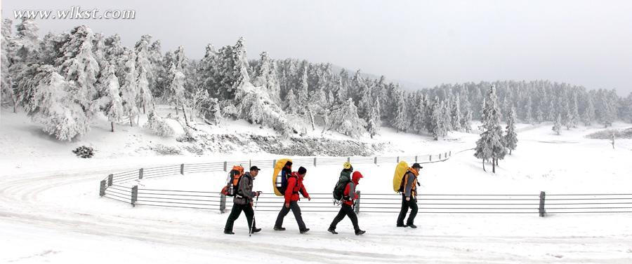 2015冬天仙女山澳网官方网站攻略(玩雪、门票、精彩看点等)