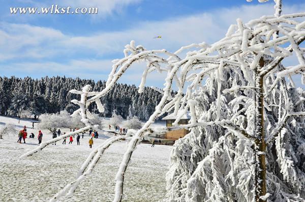 2015冬天仙女山澳网官方网站攻略(玩雪、门票、精彩看点等)