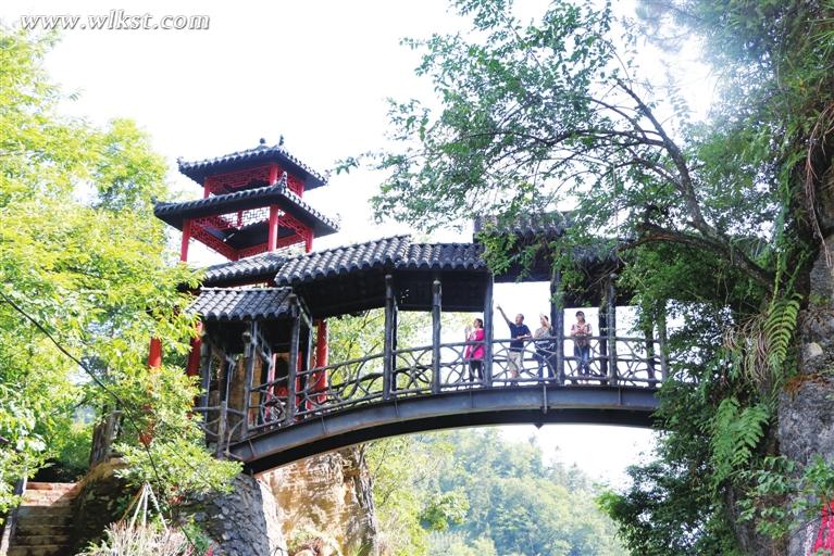  乡村澳网官方网站发展风生水起。(代 娟/摄)