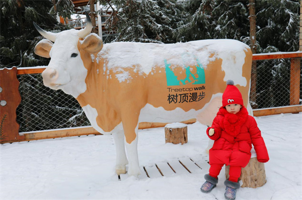 树顶漫步