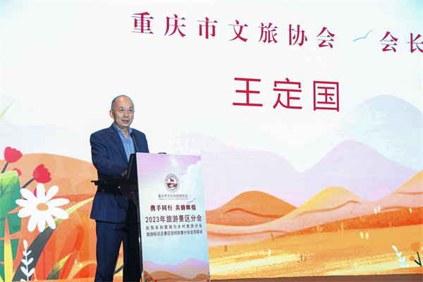 重庆市文化和澳网官方网站协会会长王定国讲话